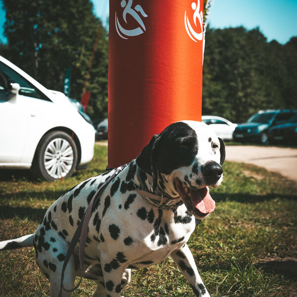 EJAM VISI_ZEBRUS EZERS